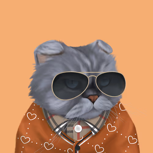 Thefatcatplanet
