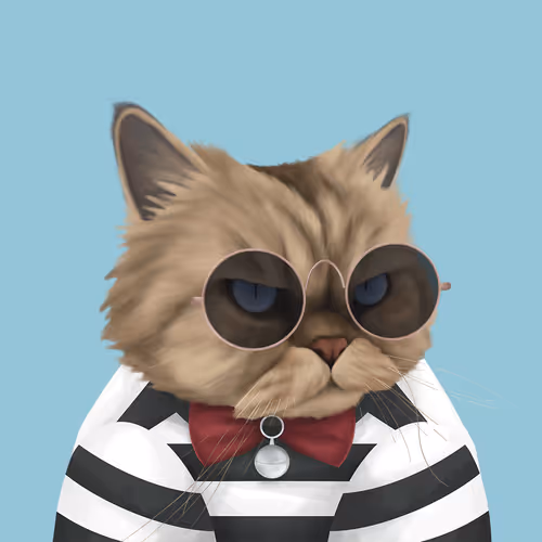 Thefatcatplanet