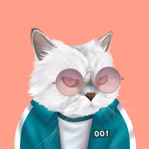 Thefatcatplanet