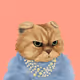 FatCatPlanet #1853