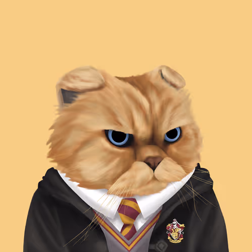 Thefatcatplanet