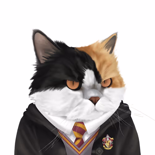 Thefatcatplanet