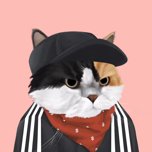 Thefatcatplanet