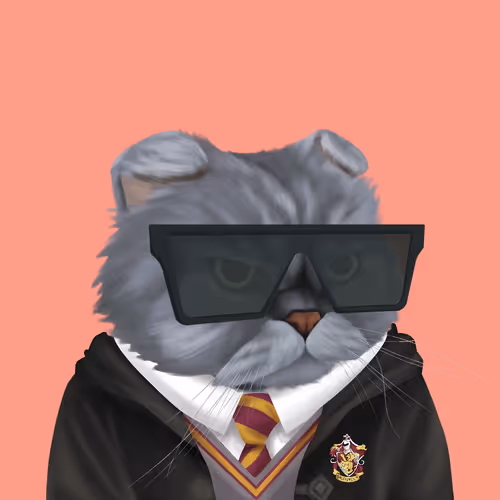 Thefatcatplanet