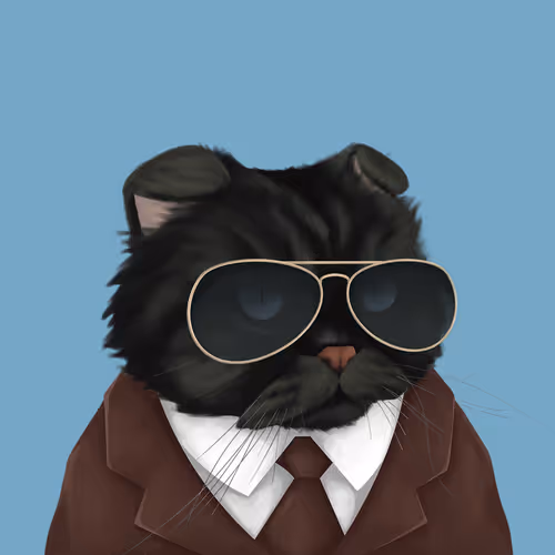 Thefatcatplanet