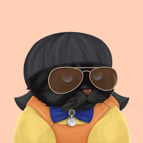 Thefatcatplanet