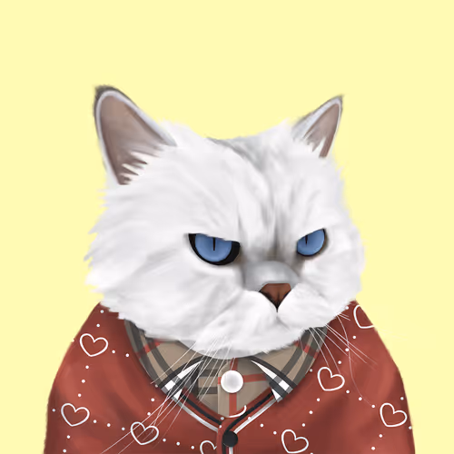 Thefatcatplanet