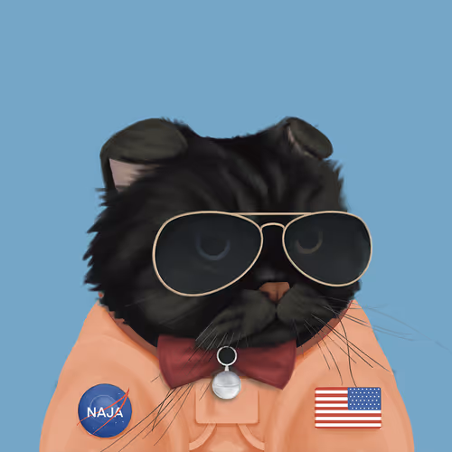 Thefatcatplanet