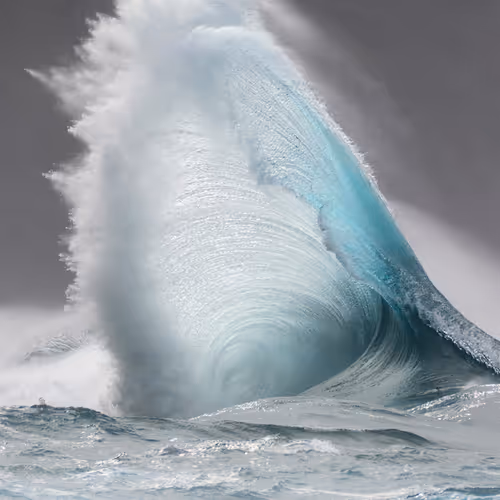 Jason Orourke Photography