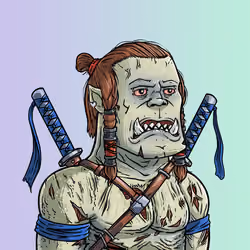 ORC #153