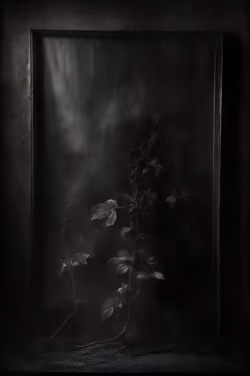 Item #12 Media