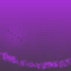 2906