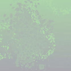 OPUSSADEY