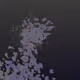 767