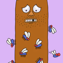 Turd 2468