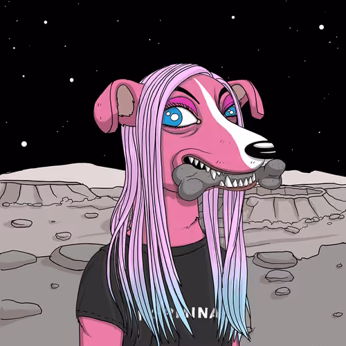 #558