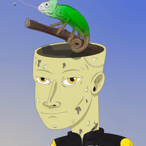 Open Head Nft
