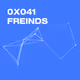 0x041 Freinds