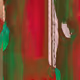 427