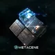 MetaCene Cece Cube