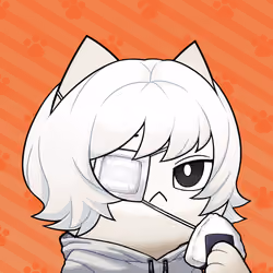 12333