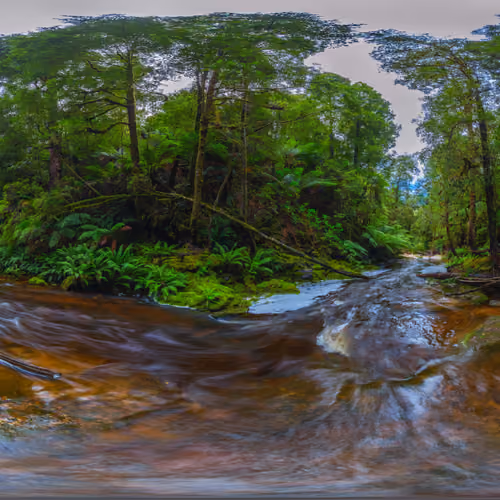 Tarkine Falls