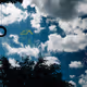 sky is the playground