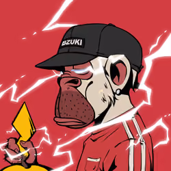 Bzuki #2760
