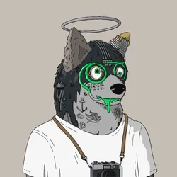 Mutant Shiba #6340