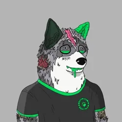 Mutant Shiba #9405