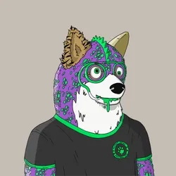 Mutant Shiba #4945