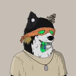 Mutant Shiba #9566