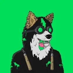 Mutant Shiba #9096