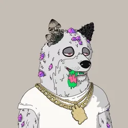 Mutant Shiba #7779