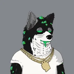 Mutant Shiba #5666