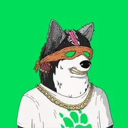 Mutant Shiba #6584