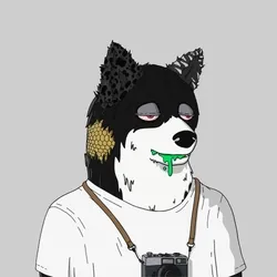 Mutant Shiba #4919