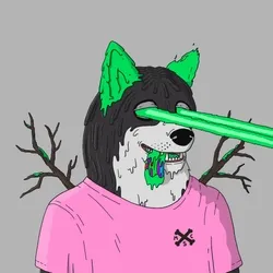 Mutant Shiba #4884