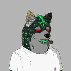 Mutant Shiba #9363