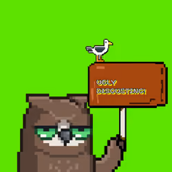 Dope Moonbirds#567