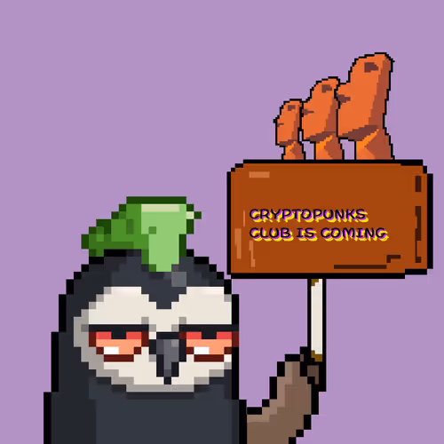Dope Moonbirds Club