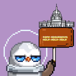 Dope Moonbirds#322
