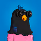 5054