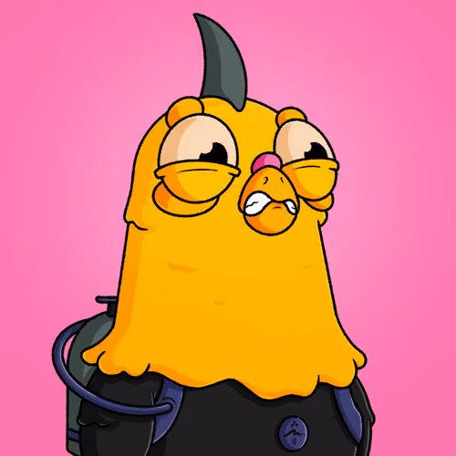 The Squab Hq Spys