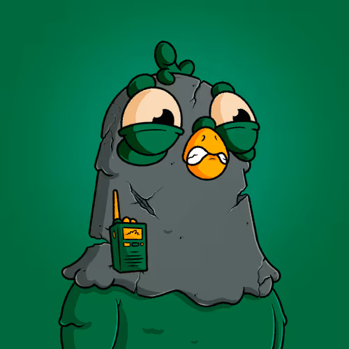 The Squab Hq Spys