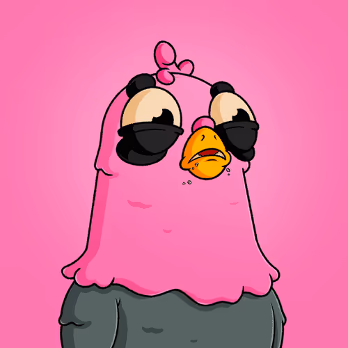 The Squab Hq Spys