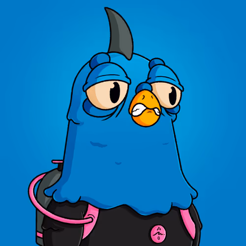The Squab Hq Spys