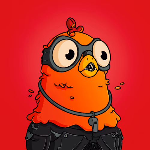 The Squab Hq Spys