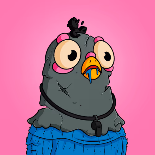 The Squab Hq Spys