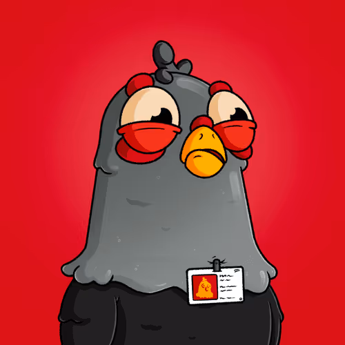 The Squab Hq Spys